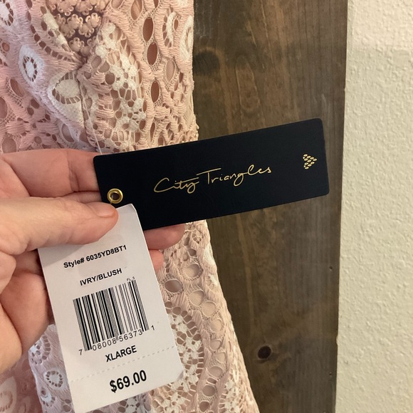 City Triangles Blush Lace Dress - Picture 3 of 11